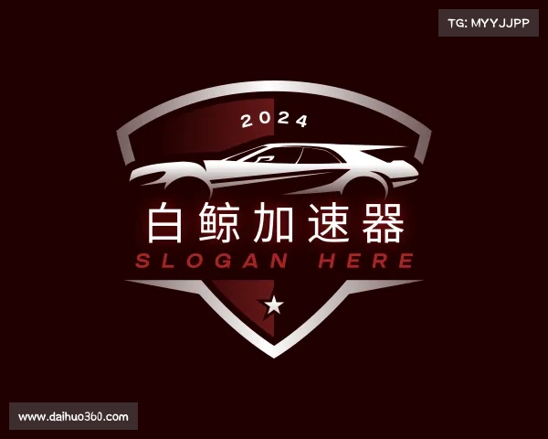 关于白鲸加速器